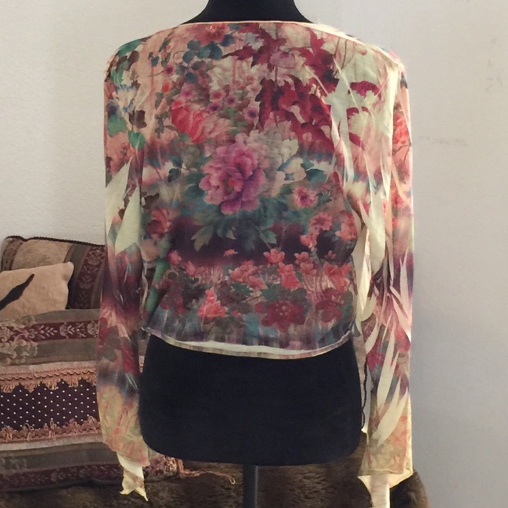 Beautiful Sheer top - Picture 7 of 8